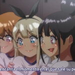 xvideos